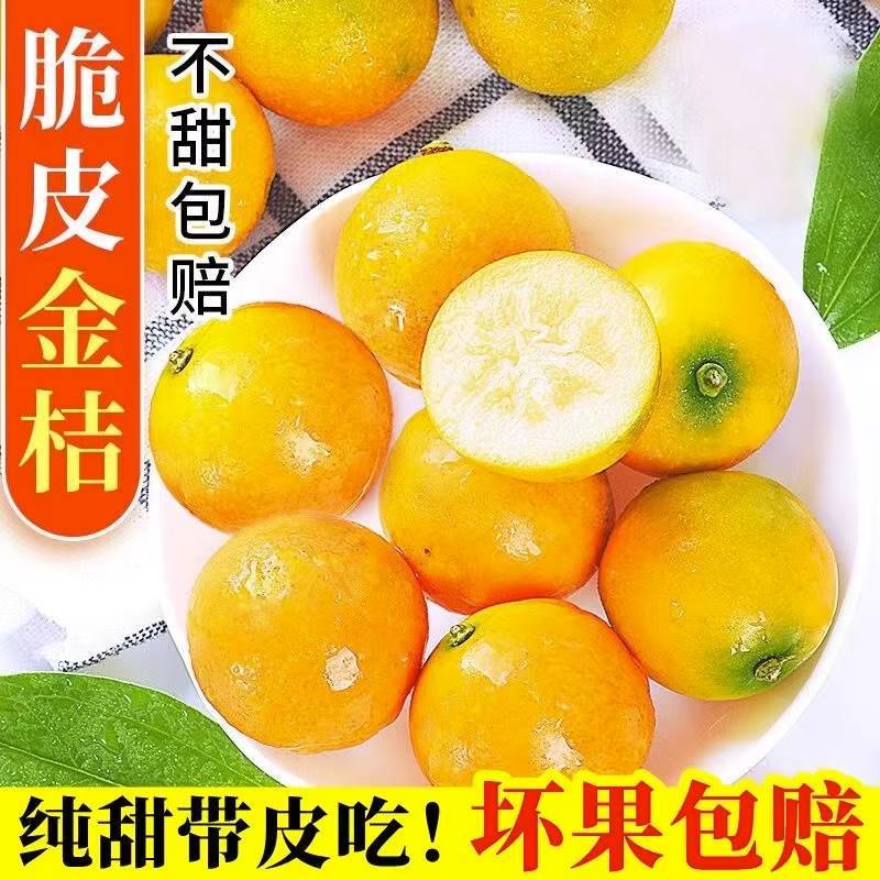 广西融安脆皮小金桔5斤新鲜水果脆甜冰糖金桔应当季整箱