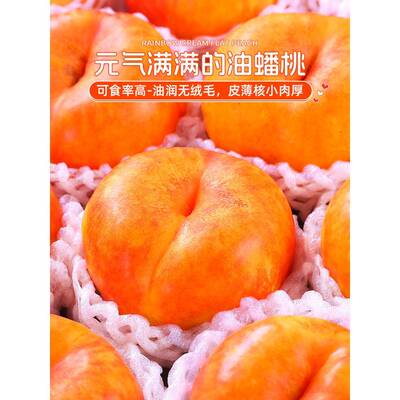 彩虹油蟠桃5斤桃子蒙阴黄金奶油扁甜蜜潘桃新鲜水果当季整箱包邮