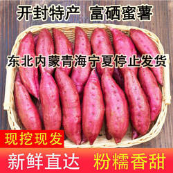 西瓜红红薯新鲜糖心番薯红心沙地红蜜薯5斤河南开封富硒地瓜超甜