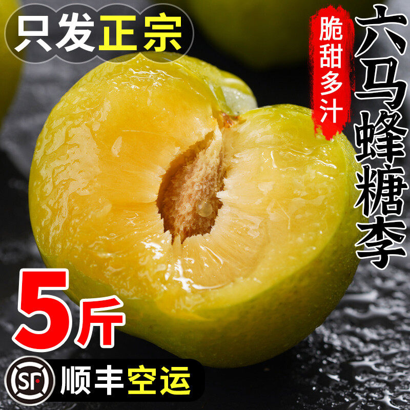 贵州蜂糖青李子新鲜水果5斤孕妇李子