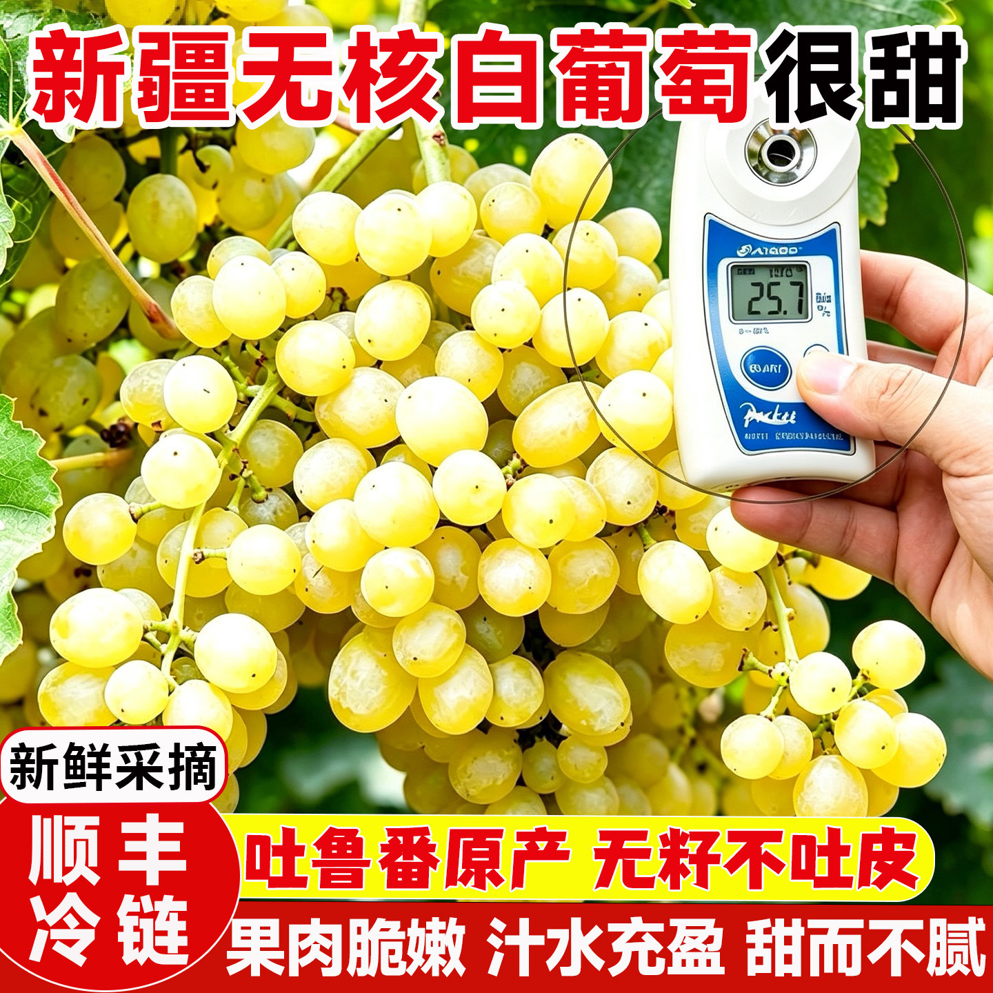 新疆葡萄吐鲁番无核白葡萄新鲜水果无籽青提整箱4斤顺丰包邮