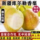 整箱批发9斤装 新疆库尔勒香梨新鲜当季 包邮 新疆直发 顺丰