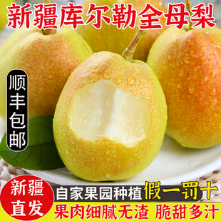 新疆库尔勒香梨新鲜水果当季全母梨子整箱9斤大果香梨子顺丰包邮