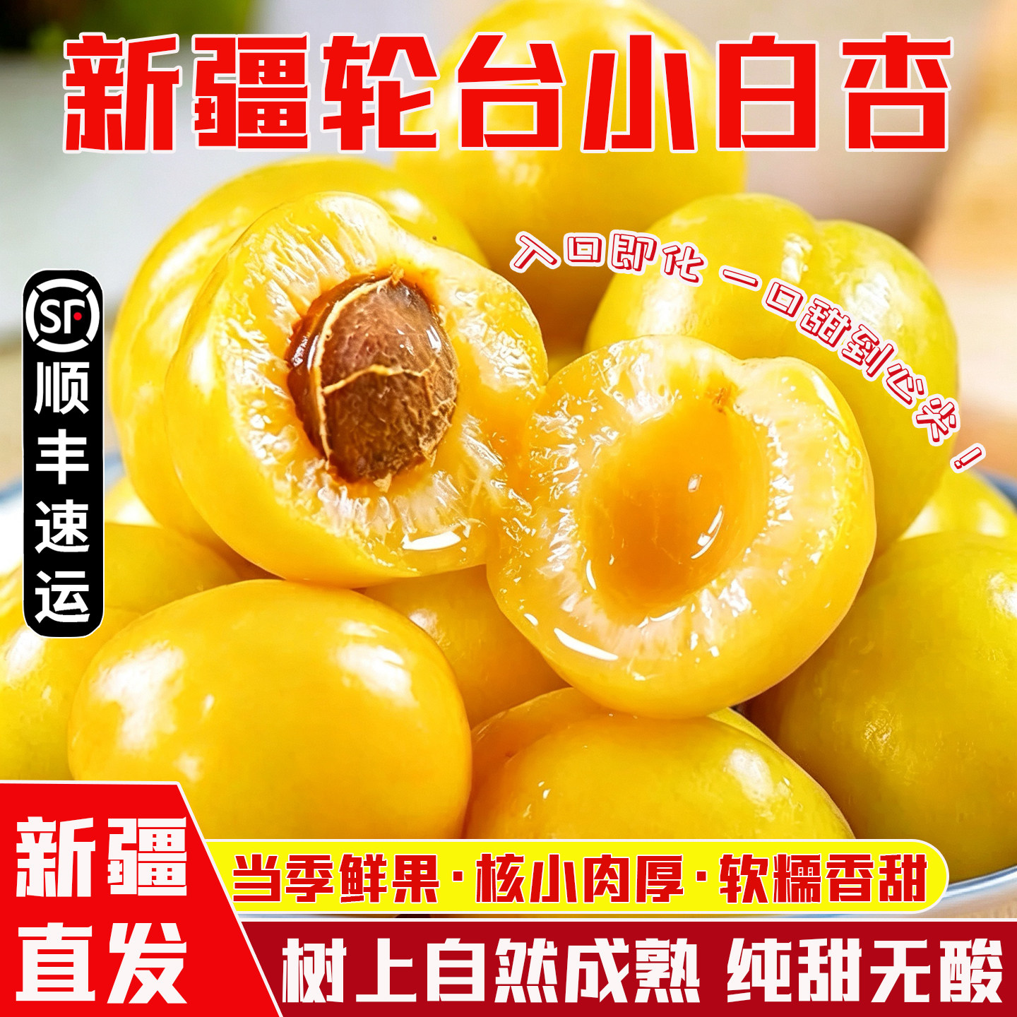 新疆库车轮台小白杏新鲜水果当季白杏子软糯香甜礼盒装顺丰空运