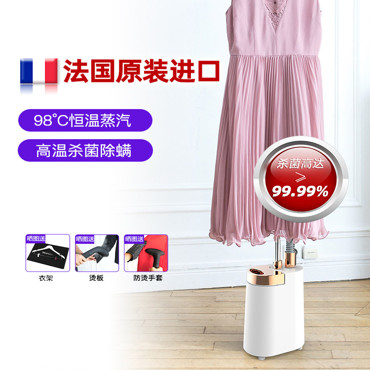 法国原装进口Steamone立式挂烫机家用商服装店蒸汽烫衣服熨烫机