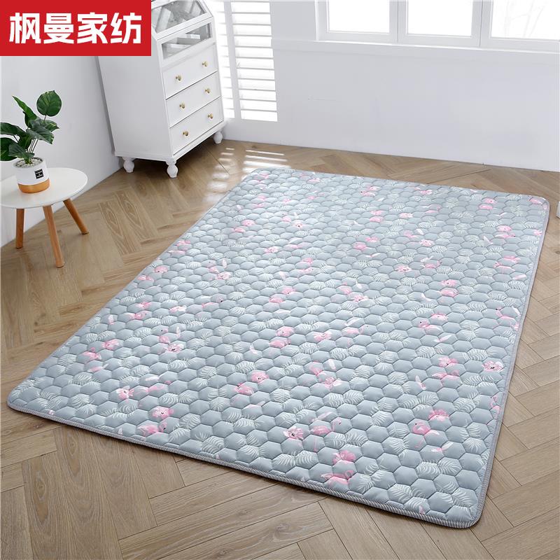 打地铺专用垫床垫家用单