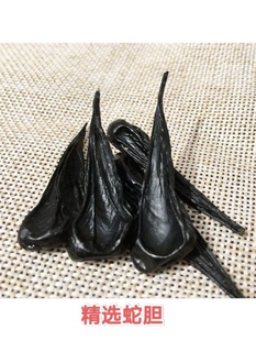 正宗眼镜蛇胆武夷山眼镜蛇胆干蛇胆眼镜王蛇胆五步蛇胆鲜蛇胆