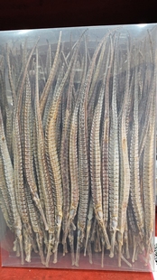 海龙干货泡酒滋补大条海龙