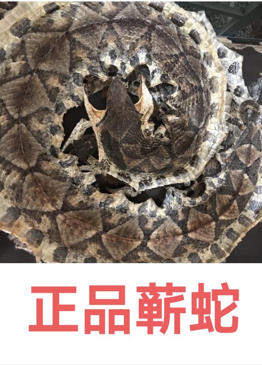 蕲蛇中药材正品五步蛇小蕲蛇整条泡酒八步蛇整条大蕲蛇干