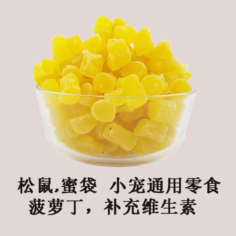 松鼠龙猫飞鼠土拔鼠刺猬荷兰猪蜜袋鼯小宠零食菠萝丁粒补充维生素