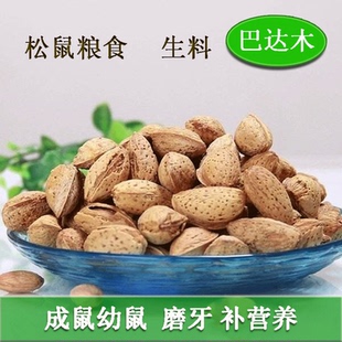 新疆巴旦木生料魔王雪地松鼠吃的粮食坚果饲料食物奶油巴达木包邮