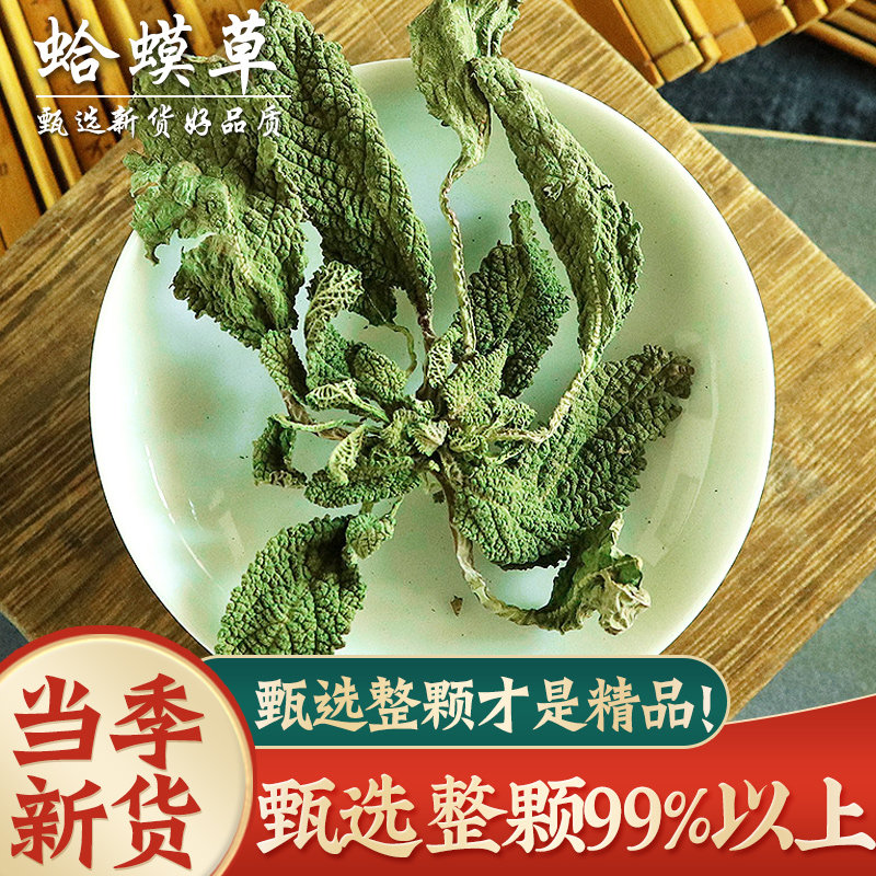 【活动价!限今日】蛤蟆草500克