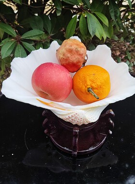 天然贝壳白色果盘菜盘海螺贝壳