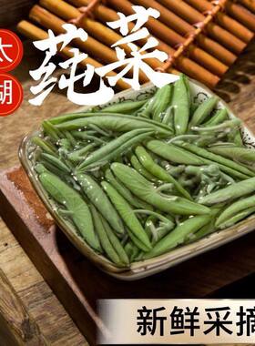 太湖叶莼菜320g袋装水八仙苏州特产马蹄草水葵烧汤清炒凉拌嫩芽菜