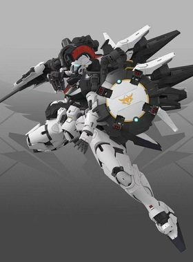 现货奇怪工作室1/60丰碑托鲁基斯约30cm PG级别拼装模型