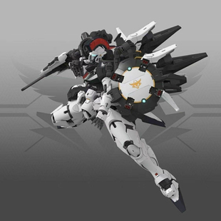 现货奇怪工作室1/60丰碑托鲁基斯约30cm PG级别拼装模型