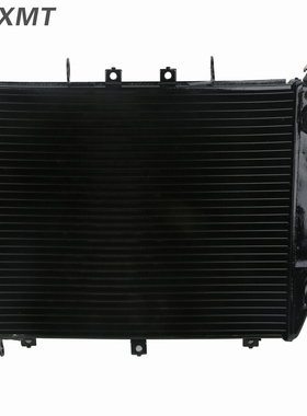 适用川崎 ZX12R zx-12r 2000-2001年 摩托车水箱总成散热器冷却