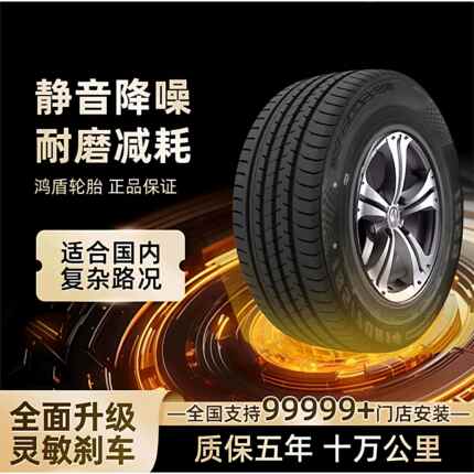 2009/2010年老款乐风乐骋通用全皮汽车轮胎四季适配全新垫