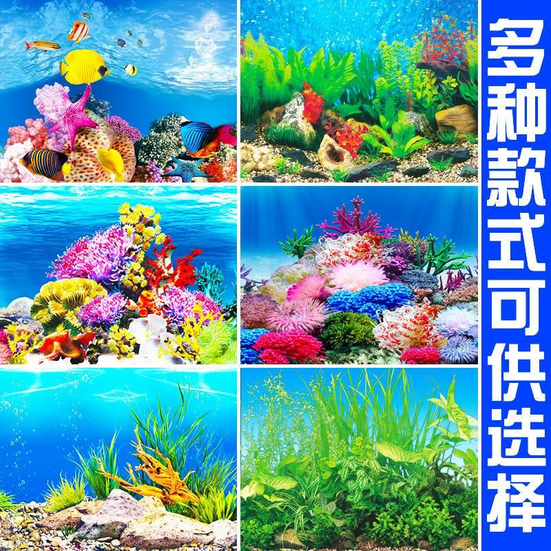 鱼缸高清背景纸画3d立体鱼缸壁纸背景画双面贴水族箱装饰鱼缸贴纸图片