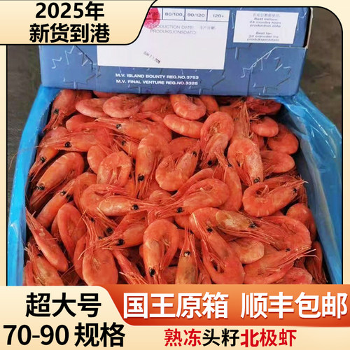 国王北极熊北极甜虾加拿大格陵兰