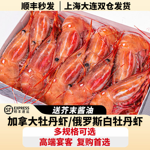 加拿大牡丹虾超低温刺身甜虾生食