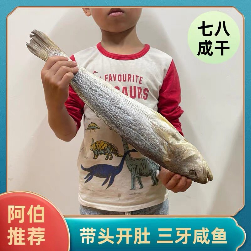 包邮台山特产川岛三齿鱼广海三牙咸鱼实肉咸鱼渔家自晒海产干货