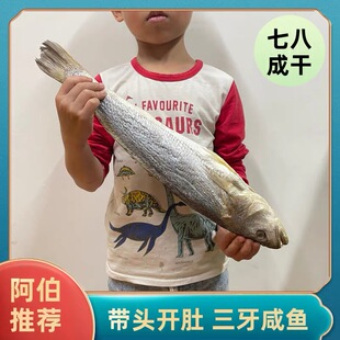 包邮台山特产川岛三齿鱼广海三牙咸鱼实肉咸鱼渔家自晒海产干货