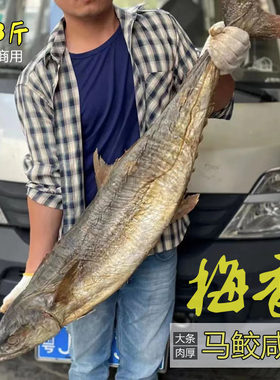 大条梅香马鲛鱼餐饮商用常用