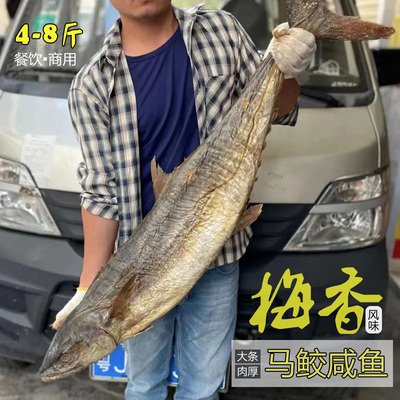 大条梅香马鲛鱼餐饮商用常用