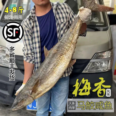 大条梅香马鲛鱼餐饮商用常用