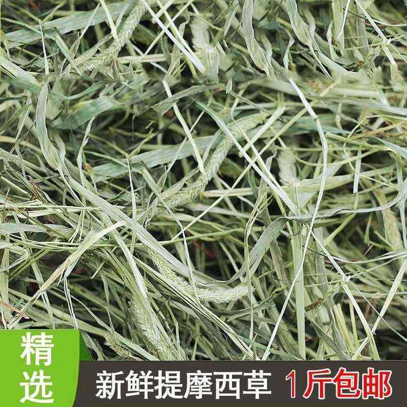 timothy grass rabbit pasture hay guinea pig chinchillas g_虎窝淘