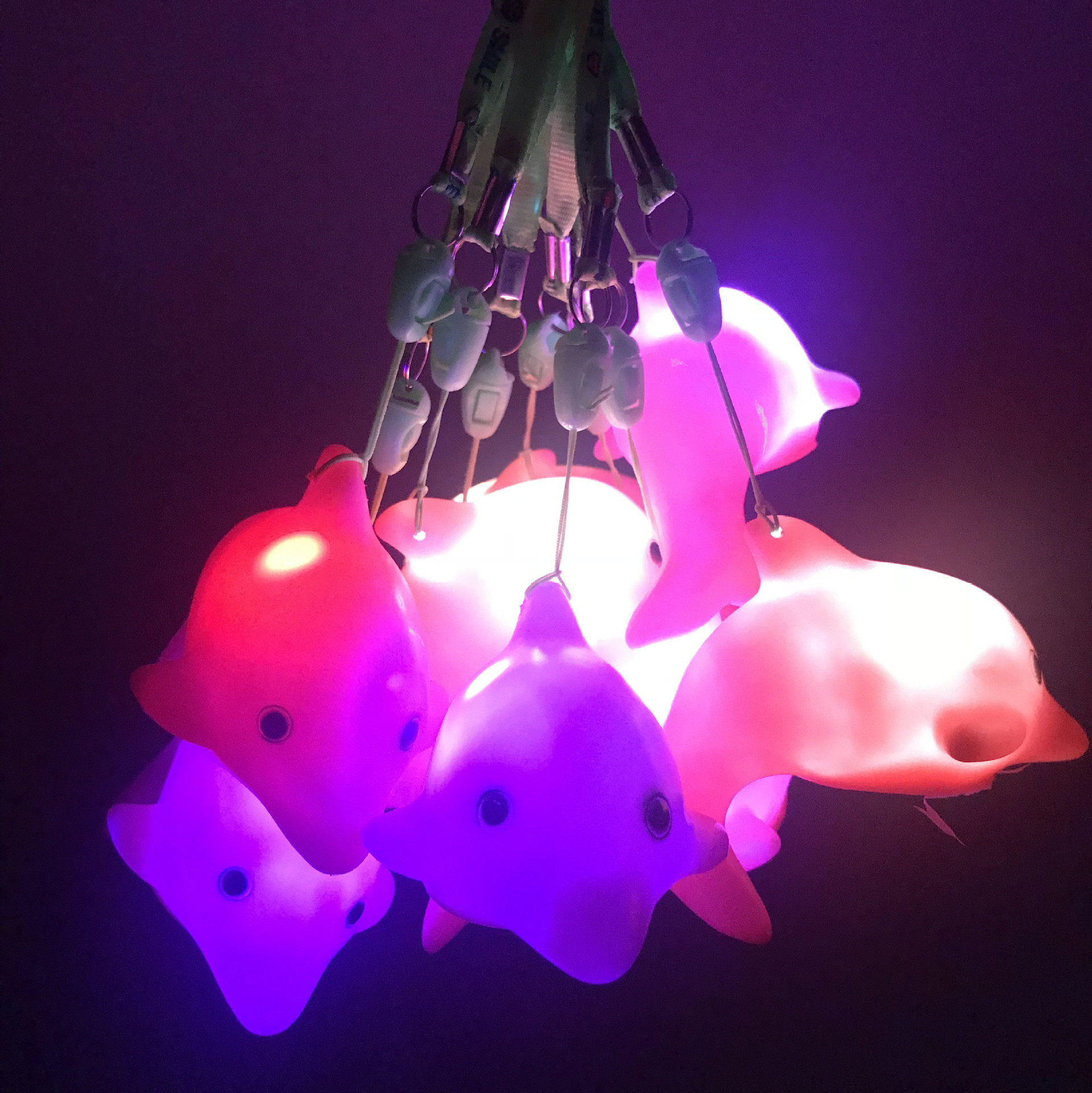 크리 에이 티브 다채로운 플래시 끈 돌고래 고래 야간 조명 수족관 플래시 선물 뜨거운 판매 장난감