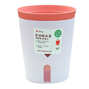 桌面多肉花盆办公室懒人自吸水绿植文竹盆栽虎皮兰花盆