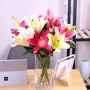 云南斗南基地多头白百合家养花瓶插花基地直发大头花朵花束盆栽