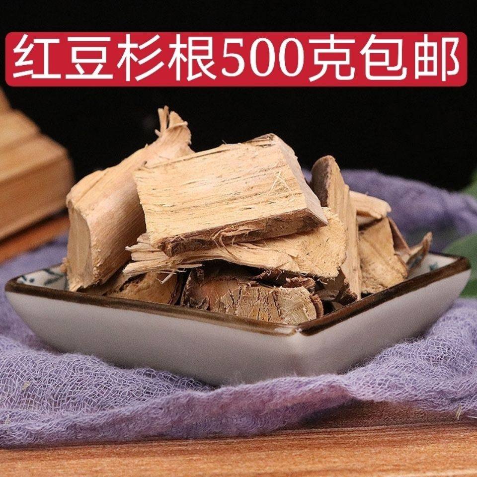 红豆杉根 中药材天然红豆杉树根 南方红豆杉树根 原树根包邮