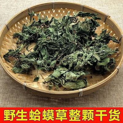 蛤蟆草正宗新货蛤蟆草无硫蛤蟆草野生荔枝草新鲜蛤蟆草晒干纯天然