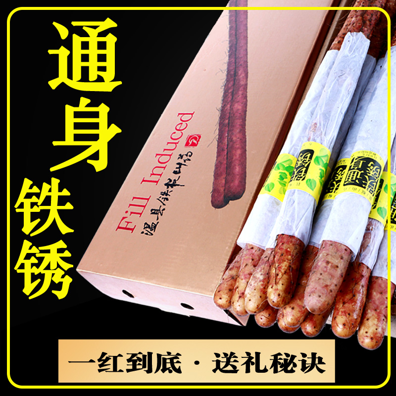 河南特产焦作温县新鲜铁棍山药
