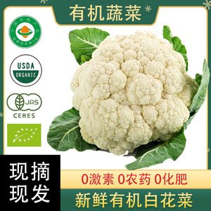 有机花菜蔬菜新鲜价格 有机花菜蔬菜新鲜图片 星期三