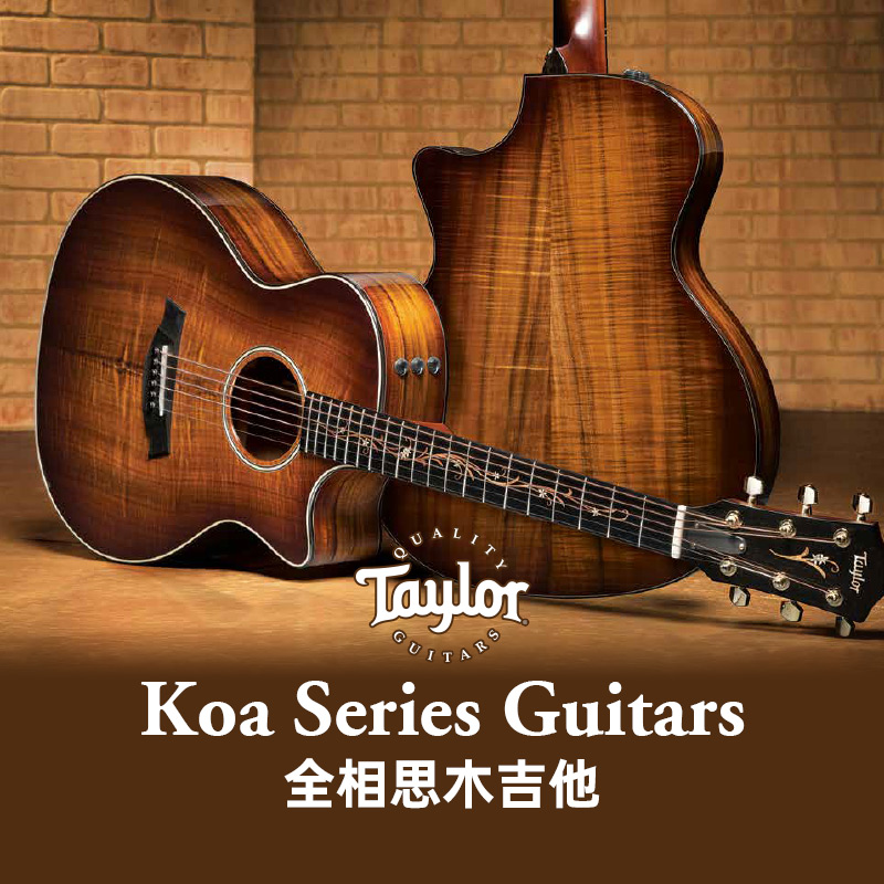 Taylor相思木系列K24 26全单板吉他GT K21CE 224 GSmini KOA泰勒