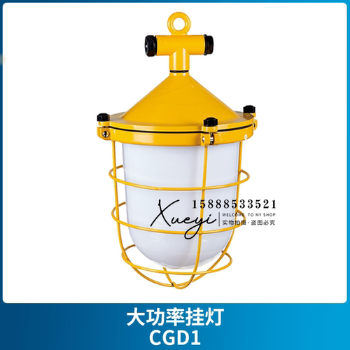 海星船用大功率挂灯CGD1/