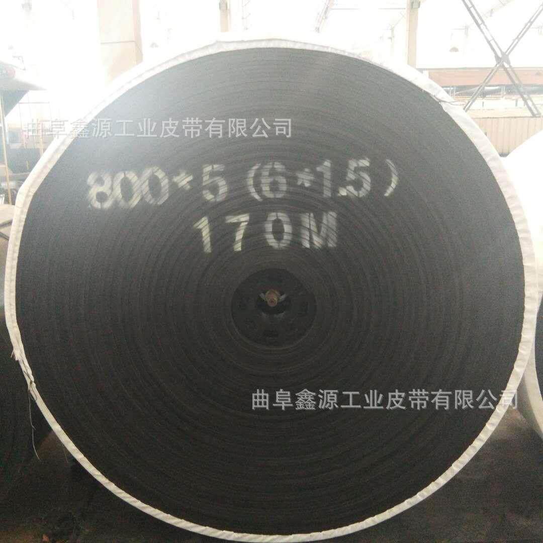 耐高温聚酯输送带 800宽 爬输送带/传送带