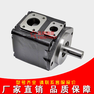 DENISON丹尼逊油泵T6CCM-B31-B08-1L00-D1;T6ECM-072-B10-3R00-C1