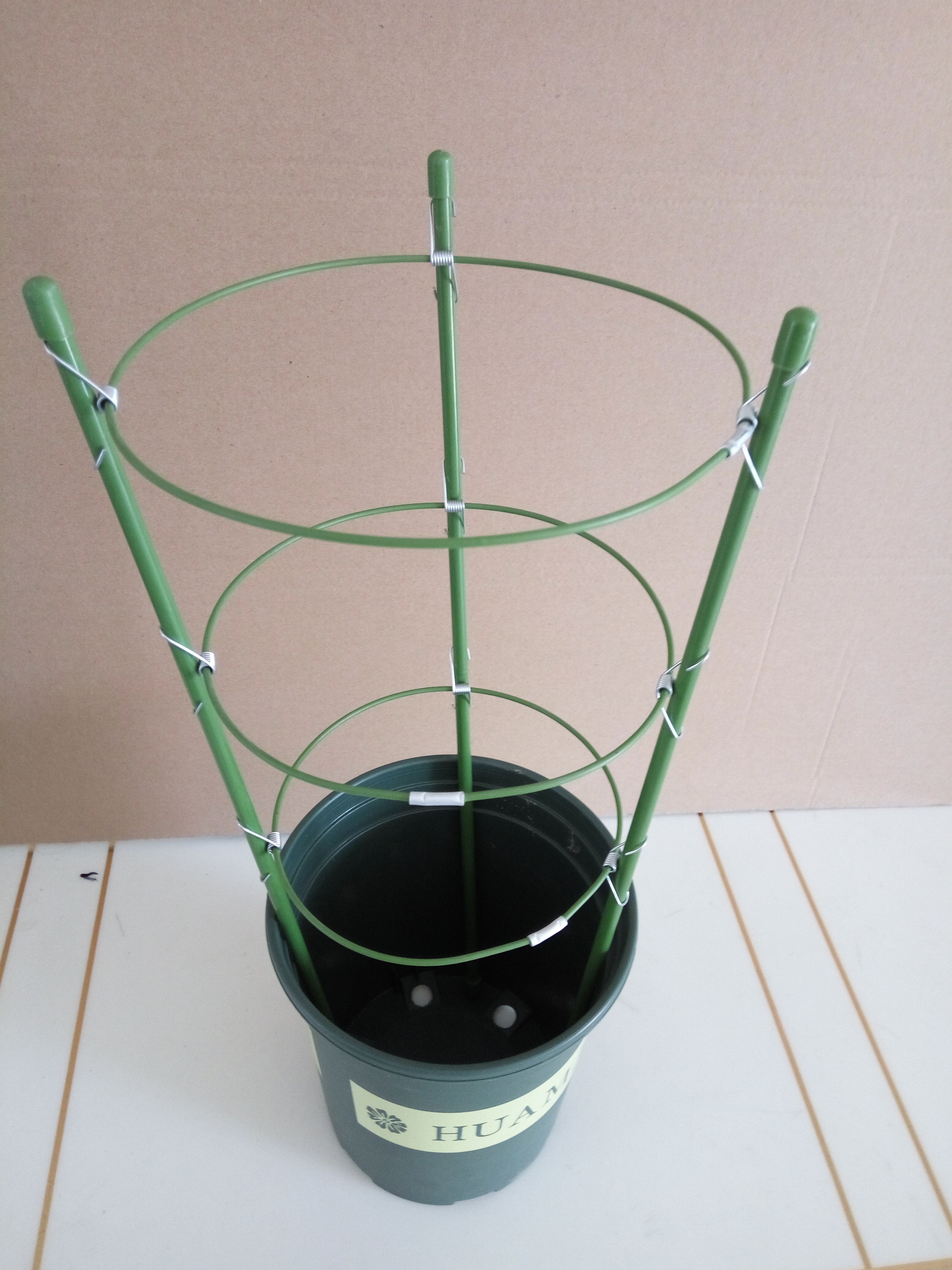 盆栽固定 兰花护叶架蕙兰叶子支撑架 蟹脚兰花架 套塑铁环花支柱