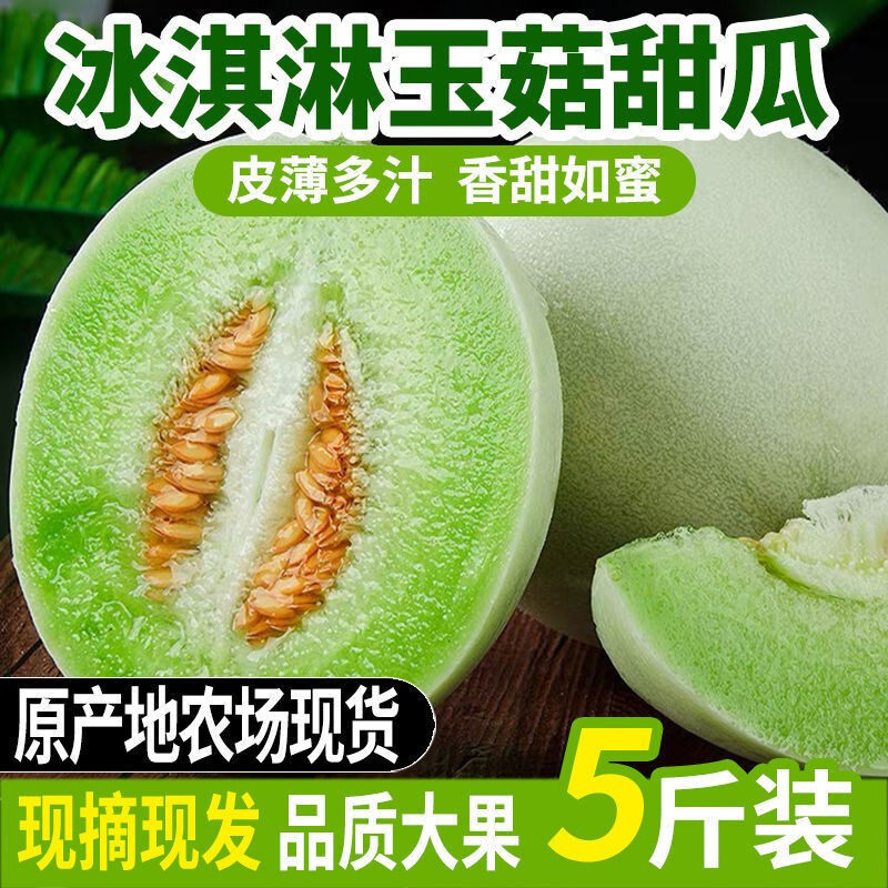 9斤玉菇甜瓜现摘头茬精选