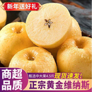 包邮 山东烟台黄金维纳斯奶油富士苹果当季 新鲜圣诞平安果整箱水果