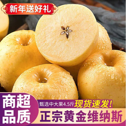 山东烟台黄金维纳斯奶油富士苹果当季新鲜圣诞平安果整箱水果包邮