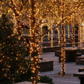 倍绿太阳能灯户外串灯家用庭院灯LED七彩春节装 饰灯防水花园景观