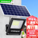 颖朗太阳能灯户外照明庭院灯家用防水LED投光灯新农村超亮大功率