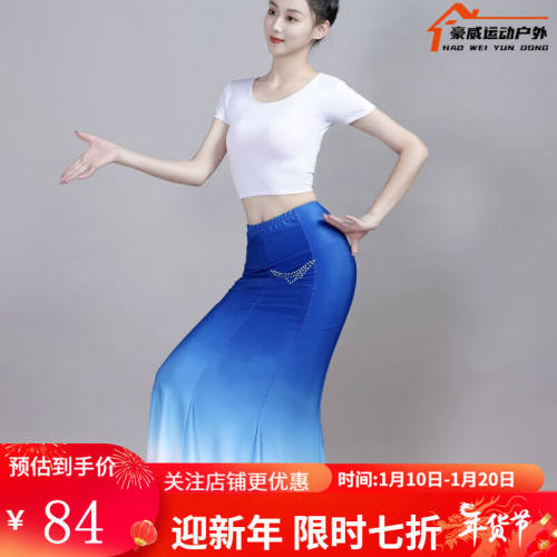 狮奥利兴傣族舞蹈演出服女成人练习裙练功服表演服女艺考孔雀舞鱼