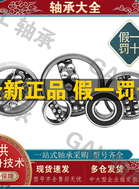 NSK滚珠1304日本1305进口1306高温1307轴承1308调心球1309 K C3